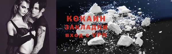 шишки Бежецк