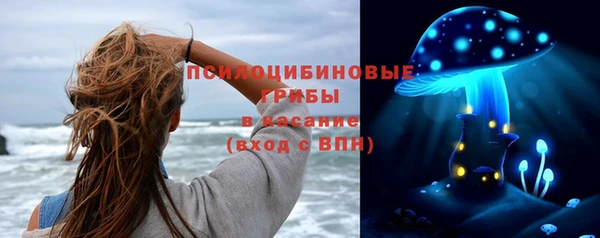 шишки Бежецк