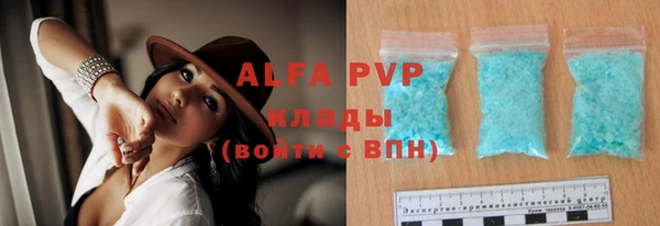 шишки Бежецк