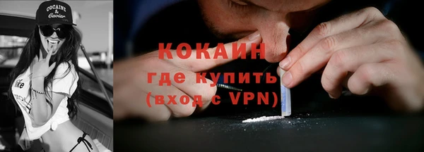 шишки Бежецк
