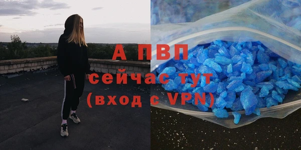 шишки Бежецк