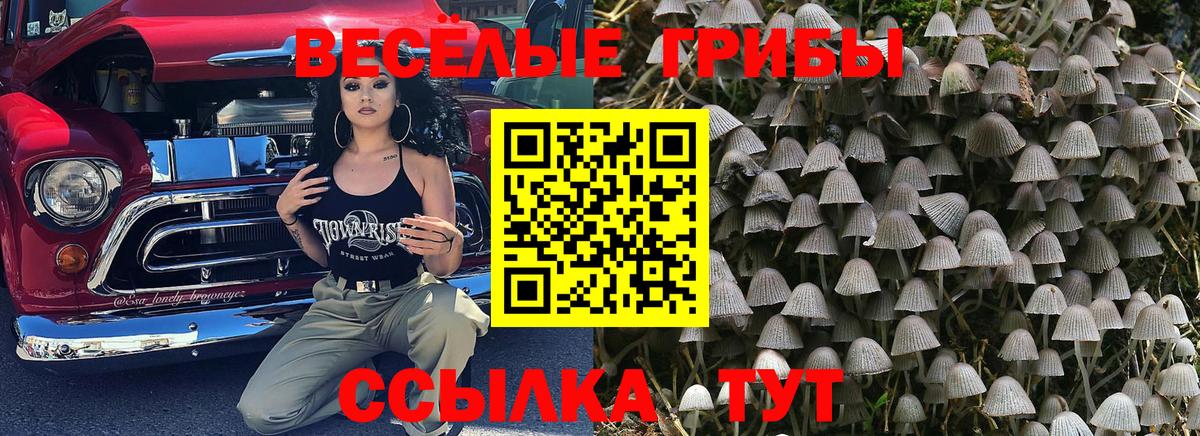 Галлюциногенные грибы мухоморы  Дзержинский 